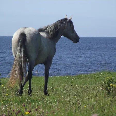 Alojamento de Acomodação e Pequeno-almoço Ocean Sound
