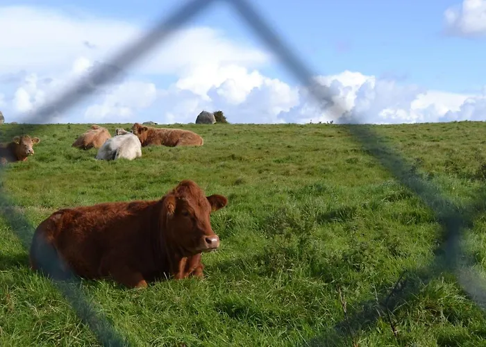 Ocean Sound 2* Easkey