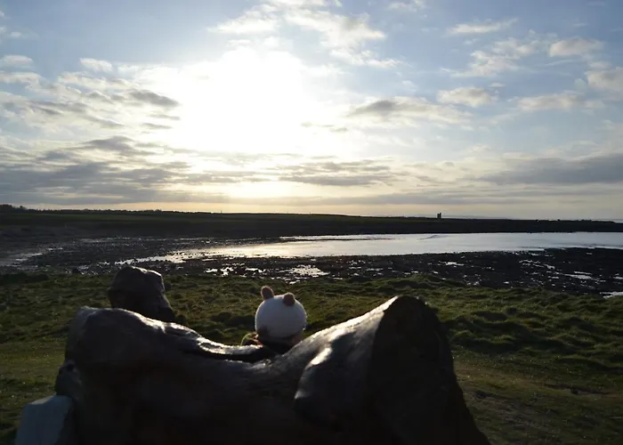 Ocean Sound 2* Easkey